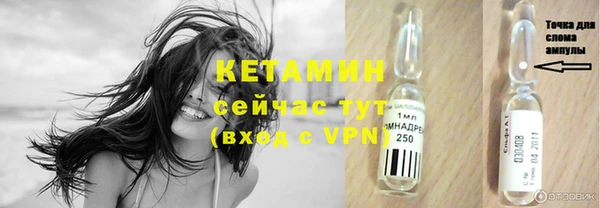 шишки Краснослободск