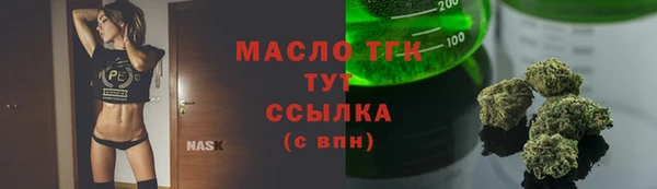 шишки Краснослободск
