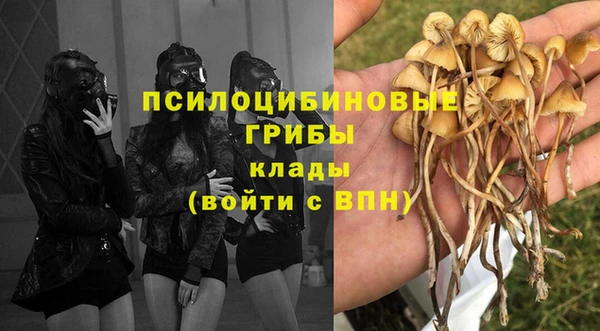 мдпв Краснотурьинск