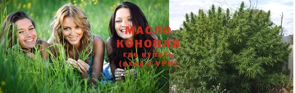 шишки Краснослободск