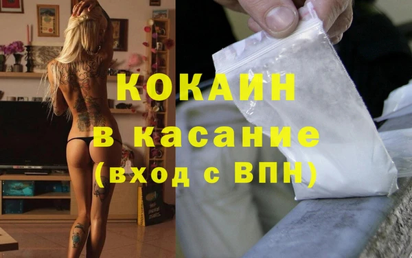 шишки Краснослободск