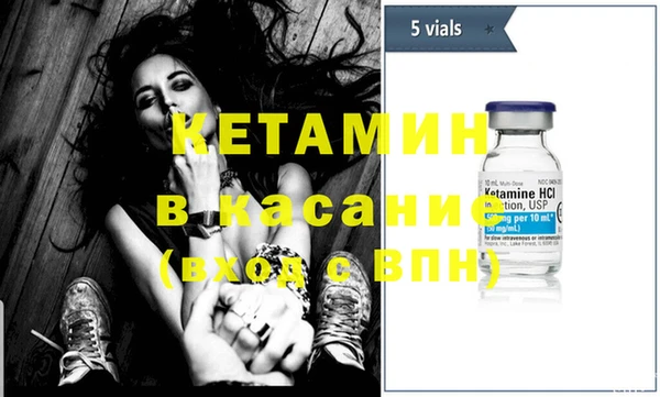 шишки Краснослободск